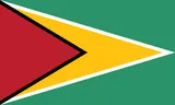 Bandera de Guyana