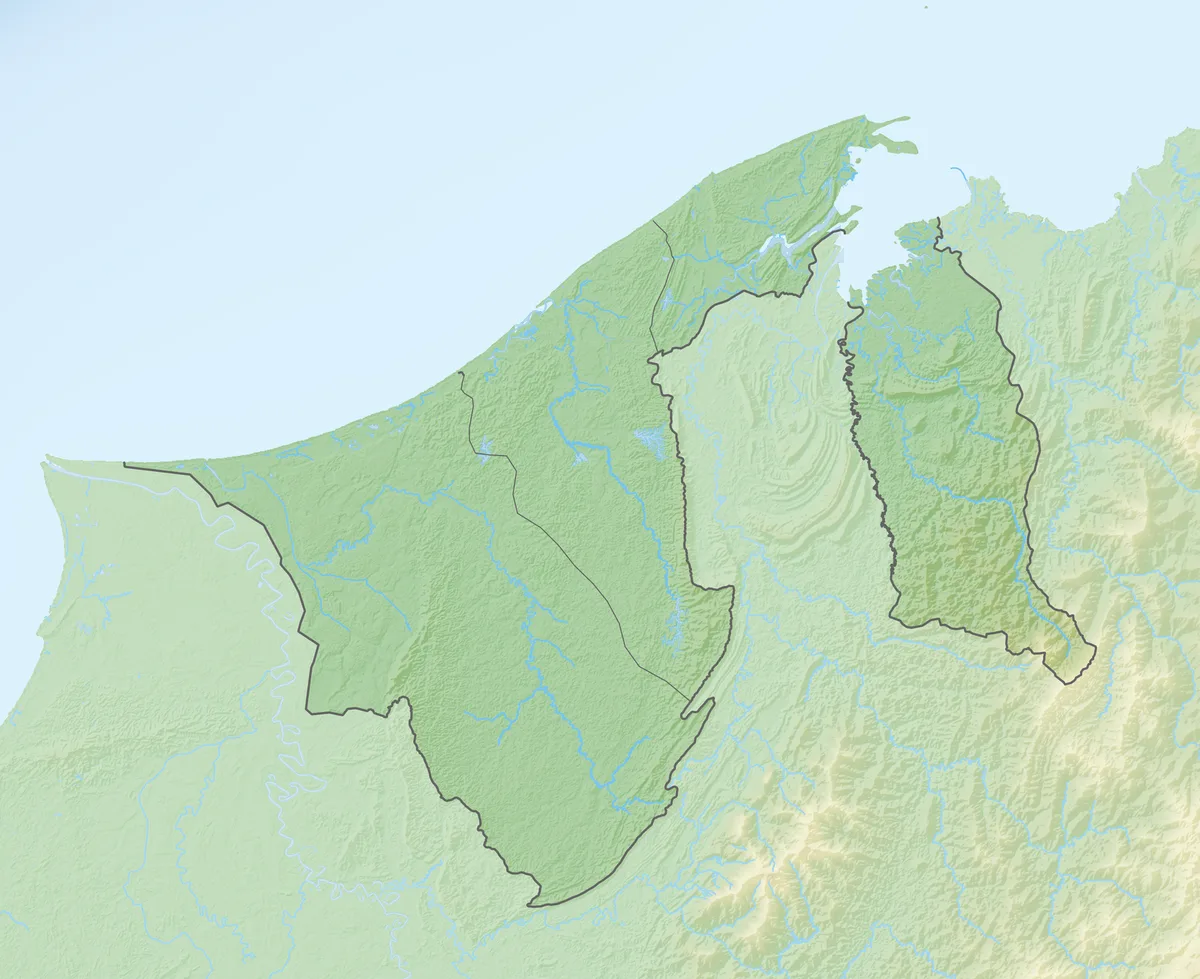 Mapa de relieve de Brunéi con ríos, costa, bahía de Brunéi, Temburong, Belait, Tutong, Brunei-Muara y Sarawak