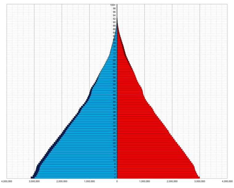 Pirámide de población de Pakistán