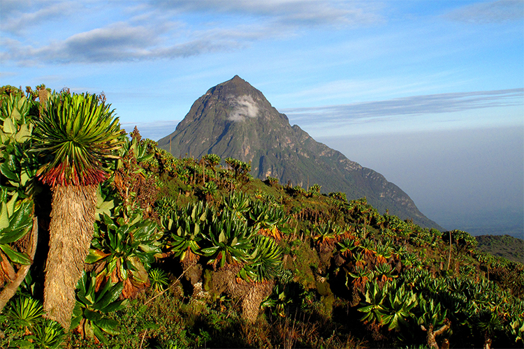 Ruanda